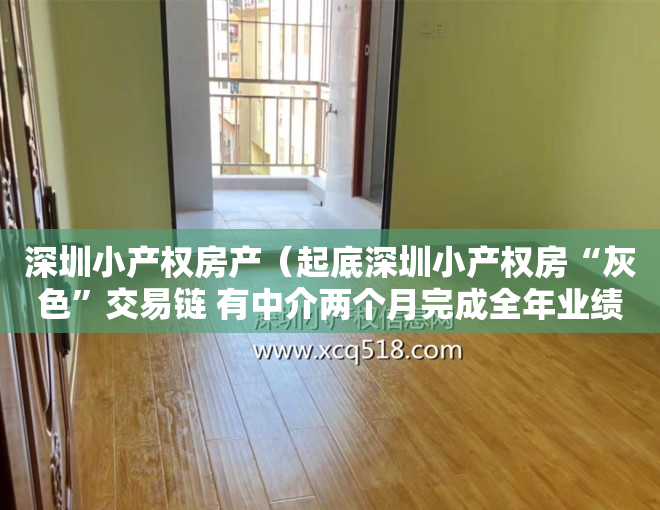 深圳小产权房产（起底深圳小产权房“灰色”交易链 有中介两个月完成全年业绩指标）