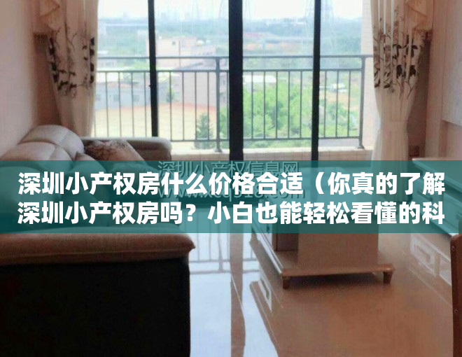 深圳小产权房什么价格合适（你真的了解深圳小产权房吗？小白也能轻松看懂的科普！）