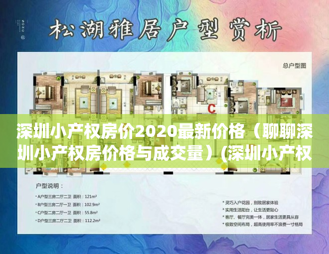 深圳小产权房价2020最新价格（聊聊深圳小产权房价格与成交量）(深圳小产权房价格走势)