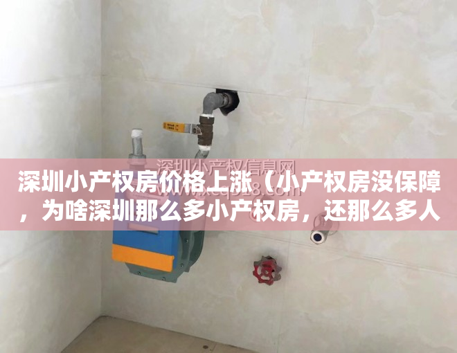 深圳小产权房价格上涨（小产权房没保障，为啥深圳那么多小产权房，还那么多人买，深圳政府就不管？）