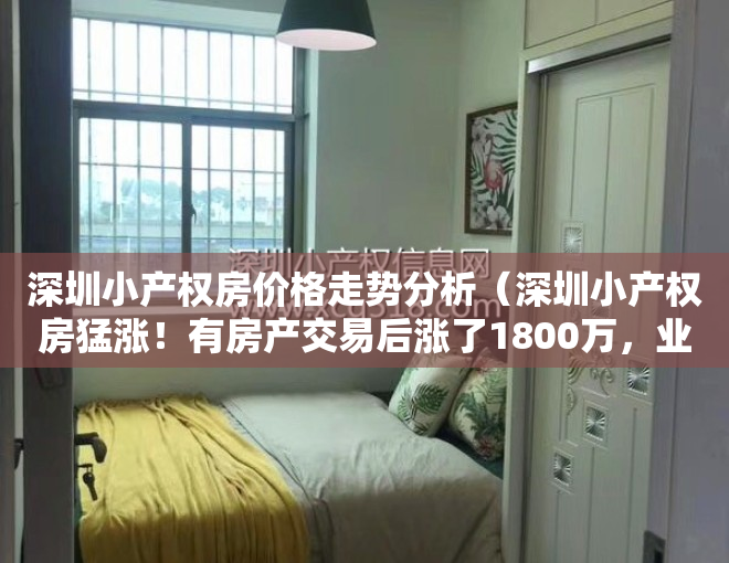 深圳小产权房价格走势分析（深圳小产权房猛涨！有房产交易后涨了1800万，业主违约不卖了）