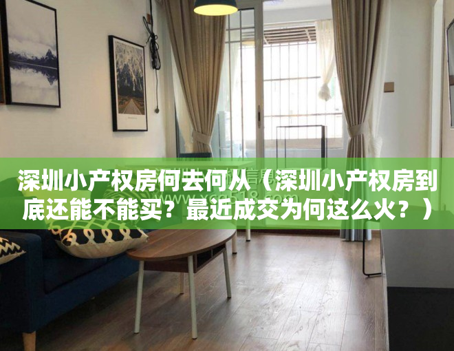 深圳小产权房何去何从（深圳小产权房到底还能不能买？最近成交为何这么火？）