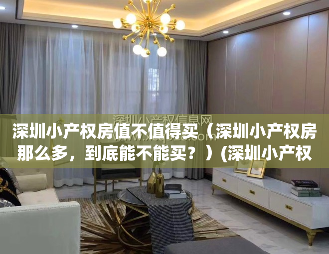 深圳小产权房值不值得买（深圳小产权房那么多，到底能不能买？）(深圳小产权房敢买吗)