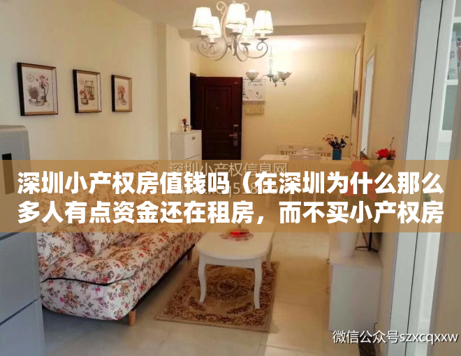 深圳小产权房值钱吗（在深圳为什么那么多人有点资金还在租房，而不买小产权房呢？）