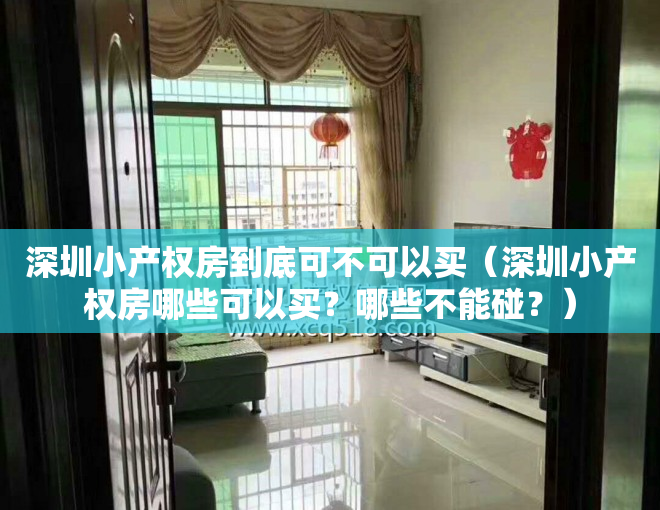 深圳小产权房到底可不可以买（深圳小产权房哪些可以买？哪些不能碰？）