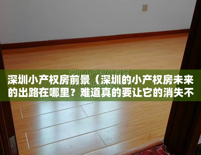 深圳小产权房前景（深圳的小产权房未来的出路在哪里？难道真的要让它的消失不见吗？）