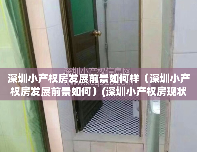 深圳小产权房发展前景如何样（深圳小产权房发展前景如何）(深圳小产权房现状)