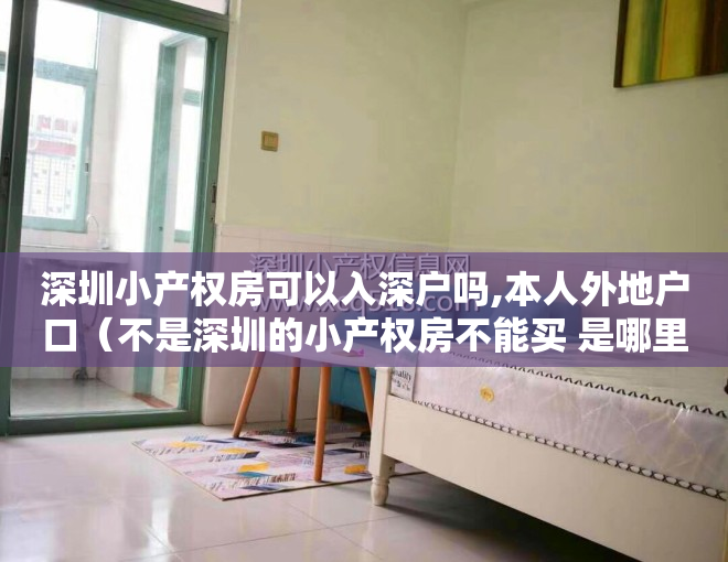 深圳小产权房可以入深户吗,本人外地户口（不是深圳的小产权房不能买 是哪里的小产权房都不能买）