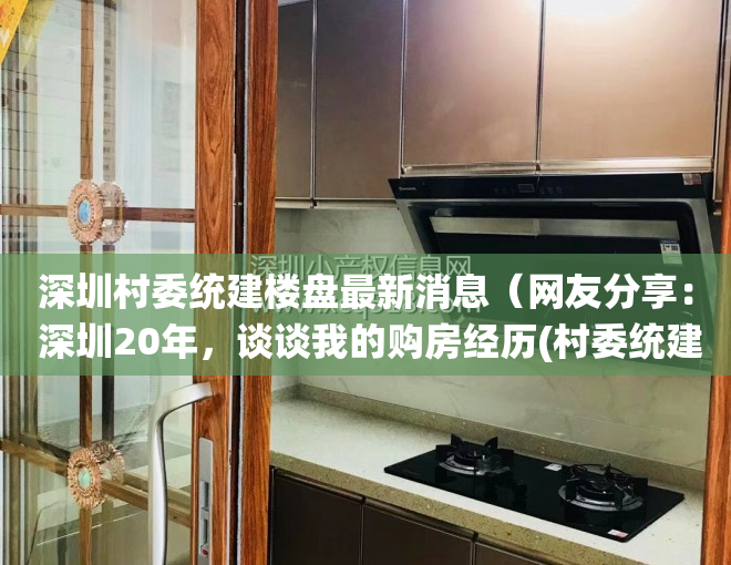 深圳村委统建楼盘最新消息（网友分享： 深圳20年，谈谈我的购房经历(村委统建楼)）