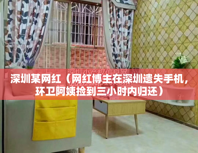 深圳某网红（网红博主在深圳遗失手机，环卫阿姨捡到三小时内归还）