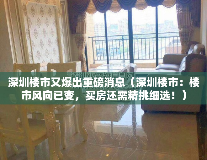 深圳楼市又爆出重磅消息（深圳楼市：楼市风向已变，买房还需精挑细选！）