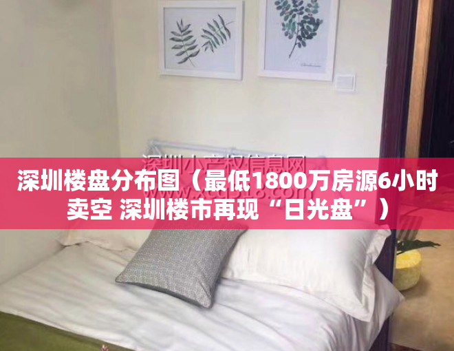 深圳楼盘分布图（最低1800万房源6小时卖空 深圳楼市再现“日光盘”）