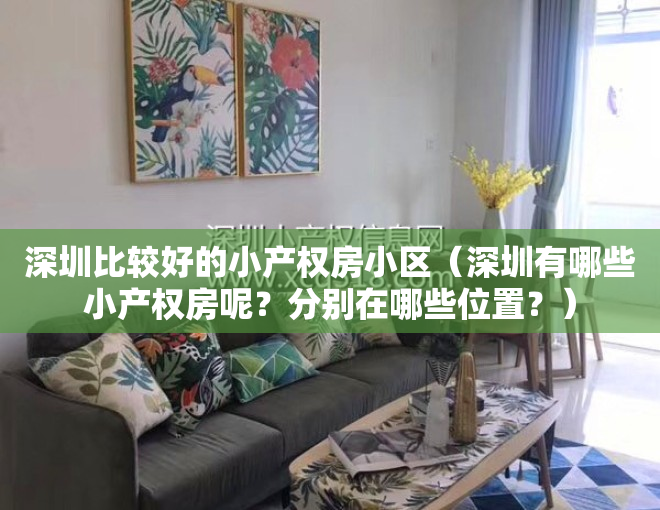 深圳比较好的小产权房小区（深圳有哪些小产权房呢？分别在哪些位置？）