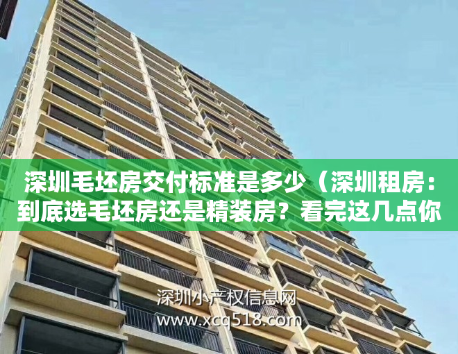 深圳毛坯房交付标准是多少（深圳租房：到底选毛坯房还是精装房？看完这几点你就知道了！）