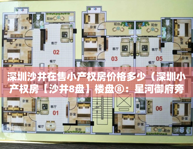 深圳沙井在售小产权房价格多少（深圳小产权房【沙井8盘】楼盘⑧：星河御府旁精装两房总价708万起‼️楼盘⑦）