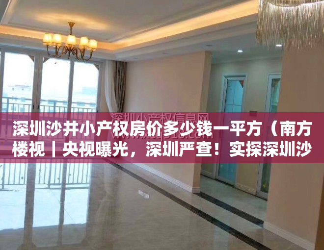 深圳沙井小产权房价多少钱一平方（南方楼视｜央视曝光，深圳严查！实探深圳沙井小产权房）