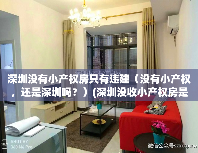 深圳没有小产权房只有违建（没有小产权，还是深圳吗？）(深圳没收小产权房是真的吗)