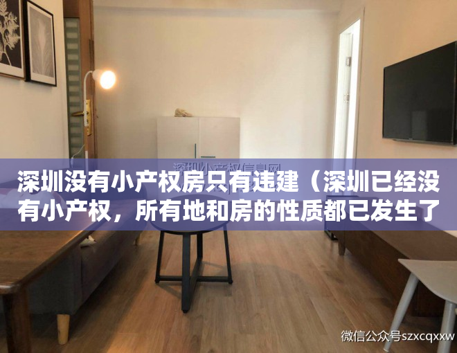 深圳没有小产权房只有违建（深圳已经没有小产权，所有地和房的性质都已发生了改变！）