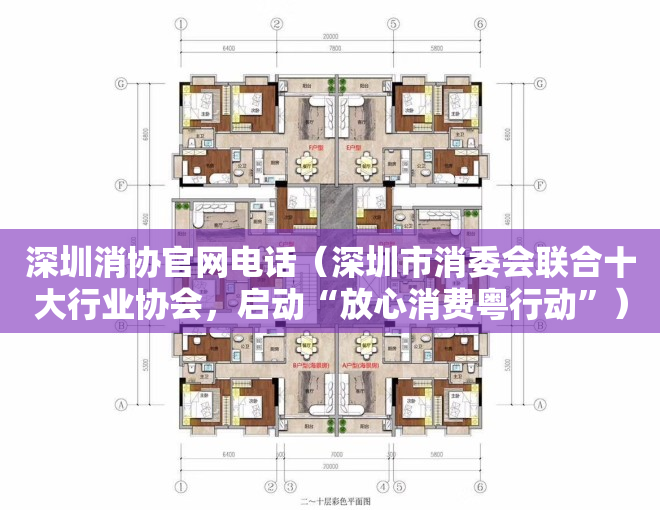 深圳消协官网电话（深圳市消委会联合十大行业协会，启动“放心消费粤行动”）