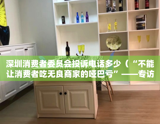 深圳消费者委员会投诉电话多少（“不能让消费者吃无良商家的哑巴亏”——专访深圳市消委会百人律师团团长陈伟）