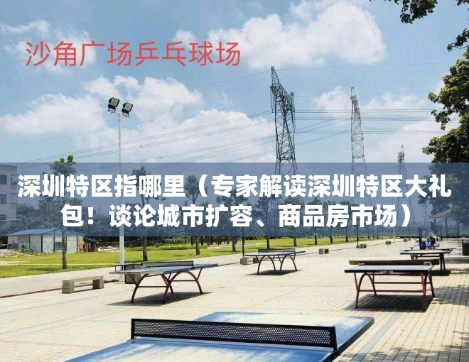 深圳特区指哪里（专家解读深圳特区大礼包！谈论城市扩容、商品房市场）