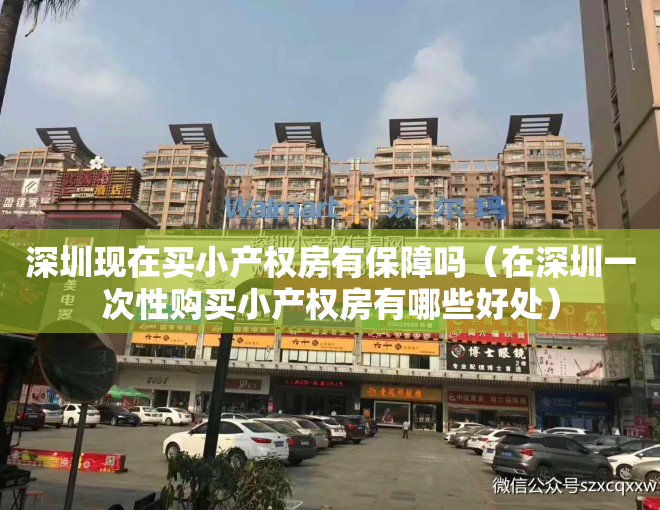深圳现在买小产权房有保障吗（在深圳一次性购买小产权房有哪些好处）