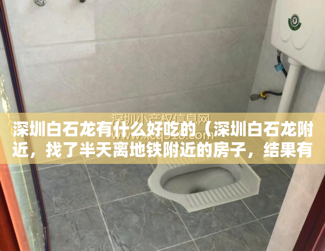 深圳白石龙有什么好吃的（深圳白石龙附近，找了半天离地铁附近的房子，结果有点失望你咋看）