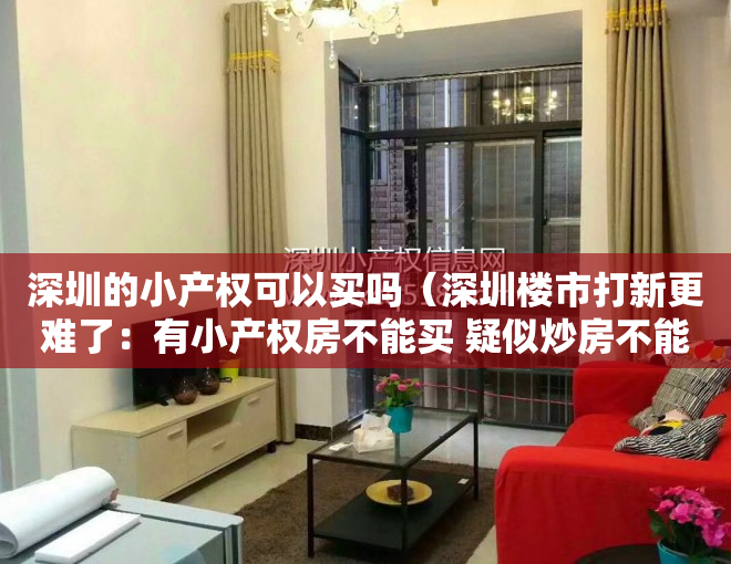 深圳的小产权可以买吗（深圳楼市打新更难了：有小产权房不能买 疑似炒房不能买）