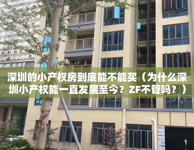 深圳的小产权房到底能不能买（为什么深圳小产权能一直发展至今？ZF不管吗？）