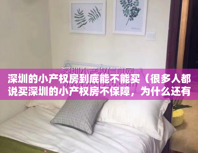 深圳的小产权房到底能不能买（很多人都说买深圳的小产权房不保障，为什么还有那么多人敢买？）
