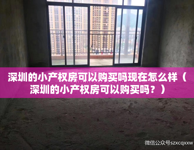 深圳的小产权房可以购买吗现在怎么样（深圳的小产权房可以购买吗？）