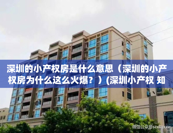 深圳的小产权房是什么意思（深圳的小产权房为什么这么火爆？）(深圳小产权 知乎)