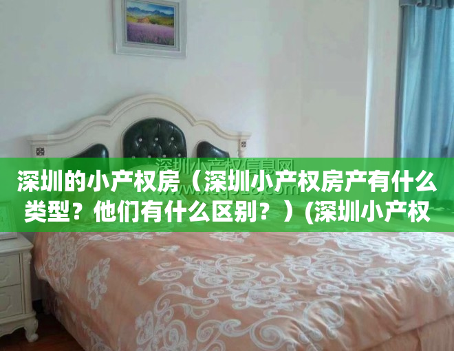深圳的小产权房（深圳小产权房产有什么类型？他们有什么区别？）(深圳小产权房介绍)