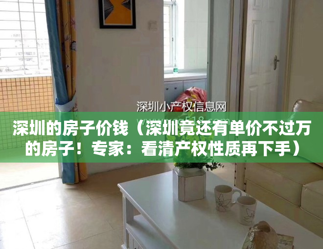 深圳的房子价钱（深圳竟还有单价不过万的房子！专家：看清产权性质再下手）