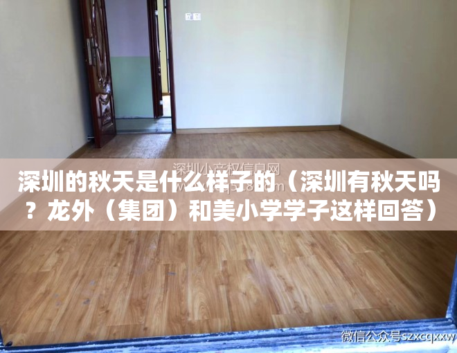 深圳的秋天是什么样子的（深圳有秋天吗？龙外（集团）和美小学学子这样回答）