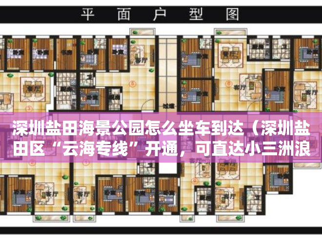 深圳盐田海景公园怎么坐车到达（深圳盐田区“云海专线”开通，可直达小三洲浪漫樱花林）
