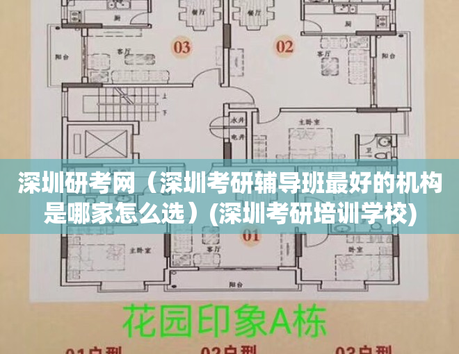 深圳研考网（深圳考研辅导班最好的机构是哪家怎么选）(深圳考研培训学校)