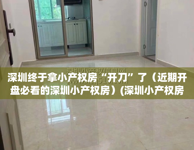 深圳终于拿小产权房“开刀”了（近期开盘必看的深圳小产权房）(深圳小产权房新楼盘)