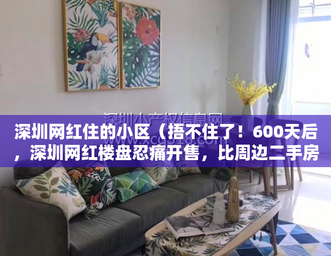 深圳网红住的小区（捂不住了！600天后，深圳网红楼盘忍痛开售，比周边二手房便宜百万）