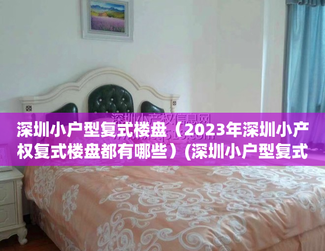 深圳小户型复式楼盘（2023年深圳小产权复式楼盘都有哪些）(深圳小户型复式公寓2019价格)