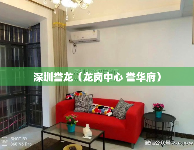 深圳誉龙（龙岗中心 誉华府）