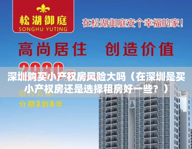 深圳购买小产权房风险大吗（在深圳是买小产权房还是选择租房好一些？）