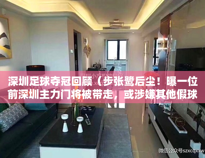 深圳足球夺冠回顾（步张鹭后尘！曝一位前深圳主力门将被带走，或涉嫌其他假球案）