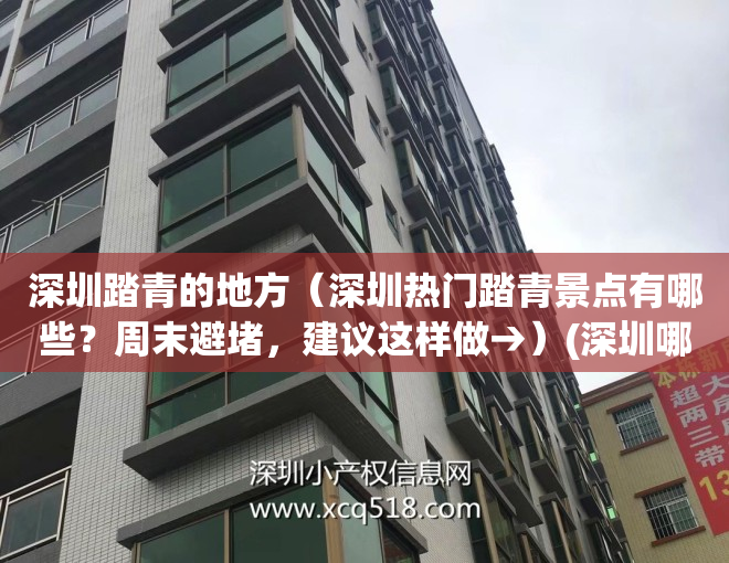 深圳踏青的地方（深圳热门踏青景点有哪些？周末避堵，建议这样做→）(深圳哪里踏青放松)