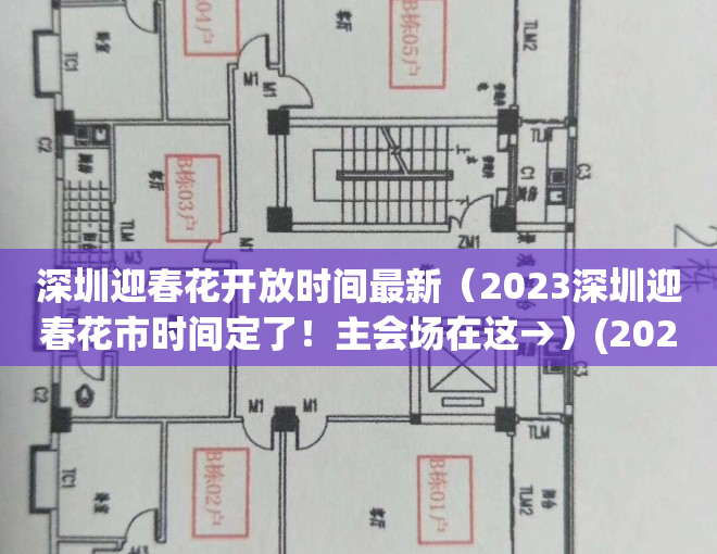 深圳迎春花开放时间最新（2023深圳迎春花市时间定了！主会场在这→）(2021年深圳迎春花市会开吗)