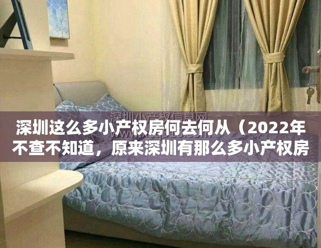 深圳这么多小产权房何去何从（2022年不查不知道，原来深圳有那么多小产权房）