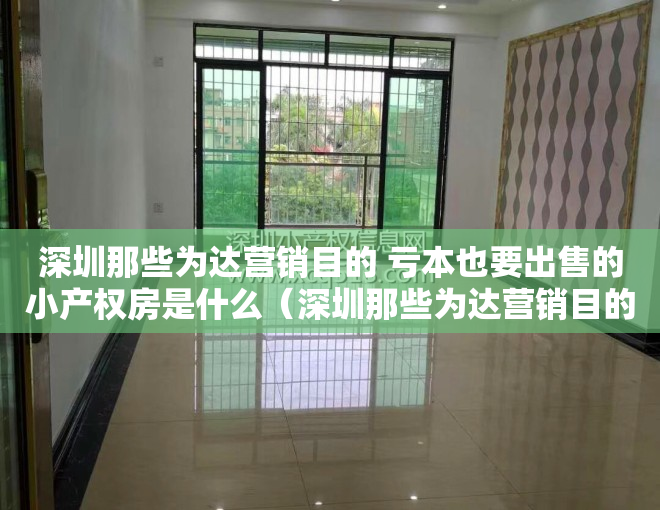 深圳那些为达营销目的 亏本也要出售的小产权房是什么（深圳那些为达营销目的 亏本也要出售的小产权房，你知道哪些呢）