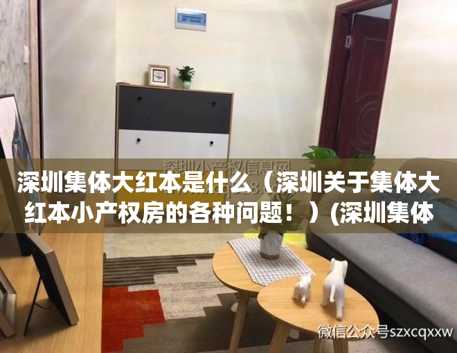 深圳集体大红本是什么（深圳关于集体大红本小产权房的各种问题！）(深圳集体大红本房是什么意思)