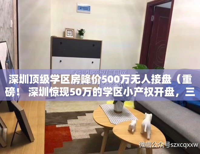 深圳顶级学区房降价500万无人接盘（重磅！ 深圳惊现50万的学区小产权开盘，三年可直接入学）