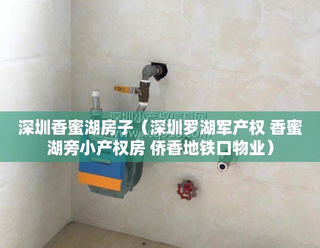 深圳香蜜湖房子（深圳罗湖军产权 香蜜湖旁小产权房 侨香地铁口物业）